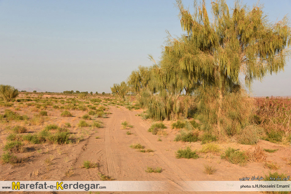 جاذبه های گردشگری خراسان جنوبی